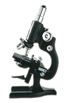 Spencer Buffalo Microscope